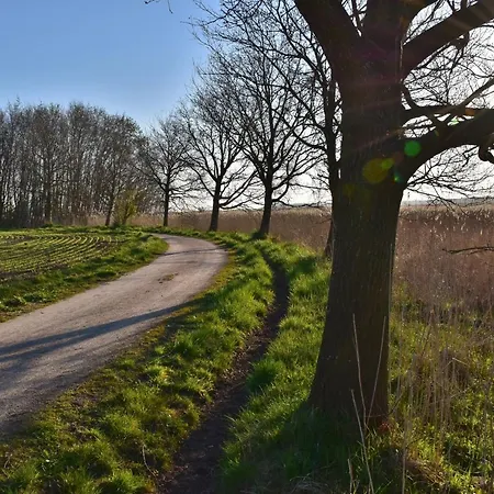 Moewe Dierhagen