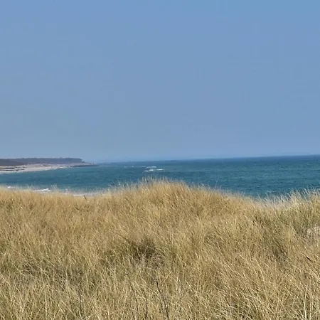 Moewe 奥茨塞巴德·迪尔哈根